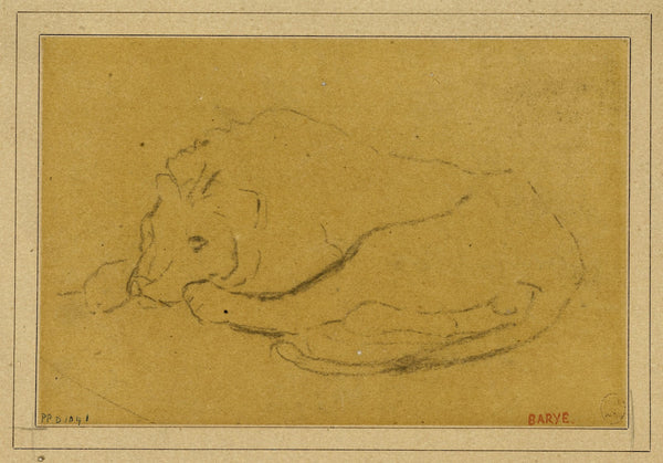 Lion couché la tête entre ses pattes 19th century