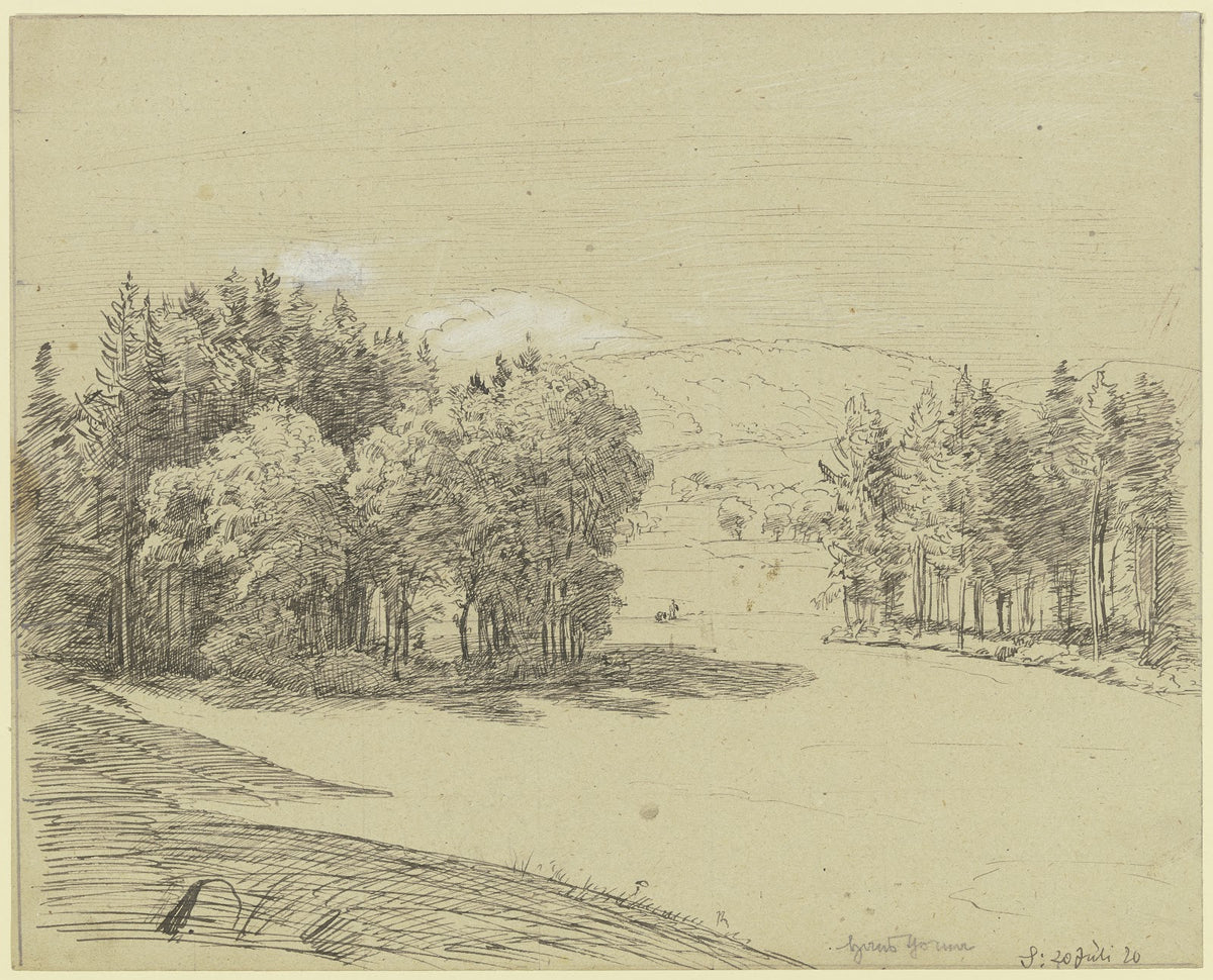 Forest landscape 1920