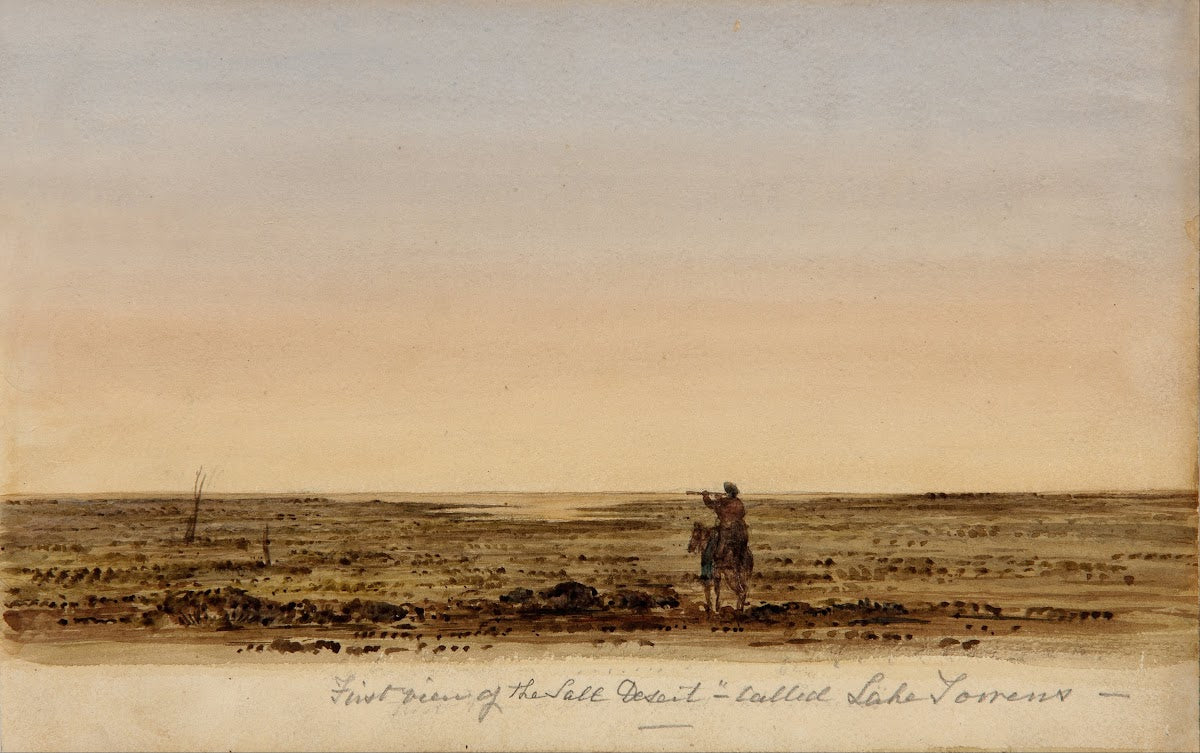 First view of the salt desert  called Lake Torrens 1843