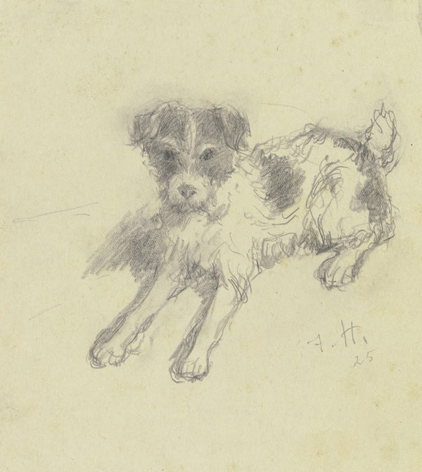 Lying terrier 1925