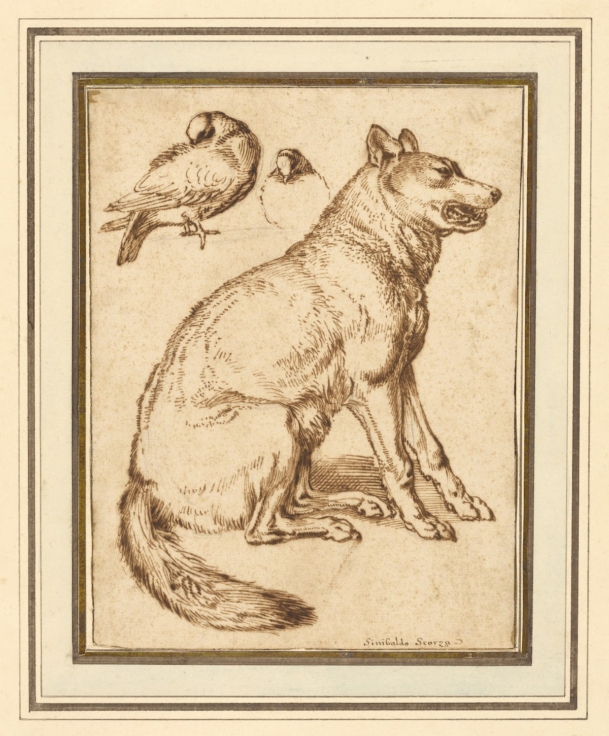A Wolf and Two Doves 16101620