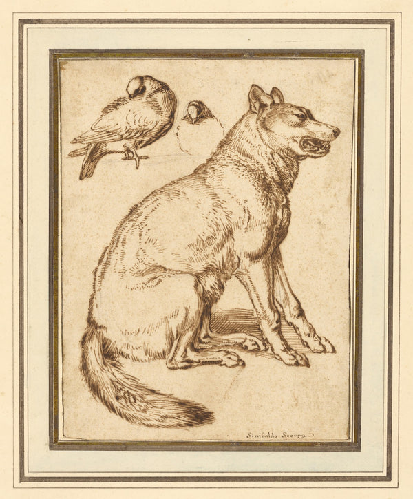 A Wolf and Two Doves 16101620