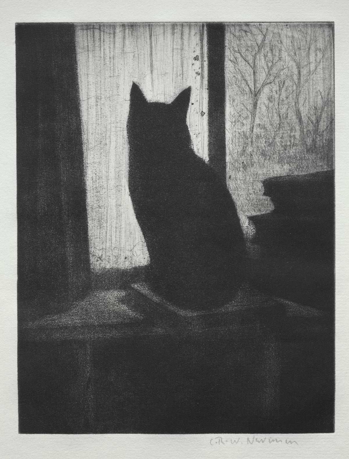 The Cat 1900s