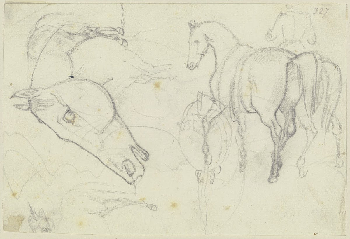 Studies of horses