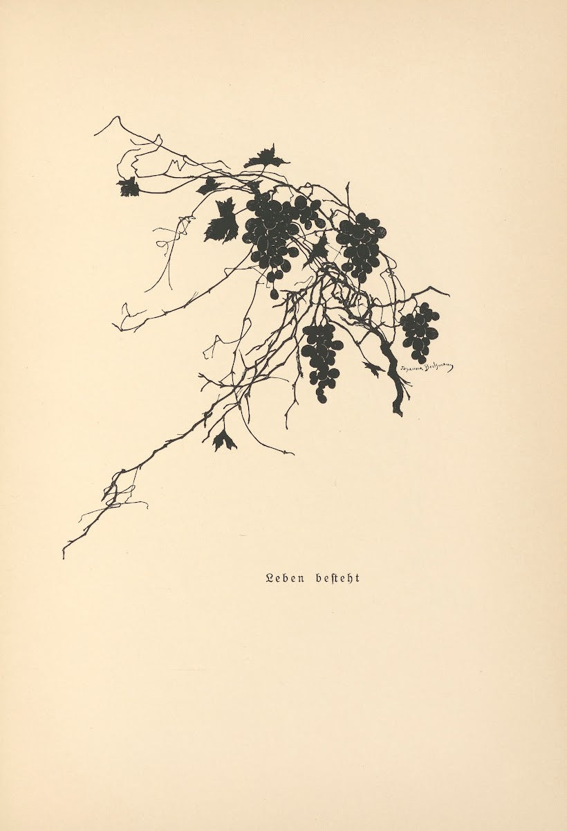 Vertrauen Pl23 1933