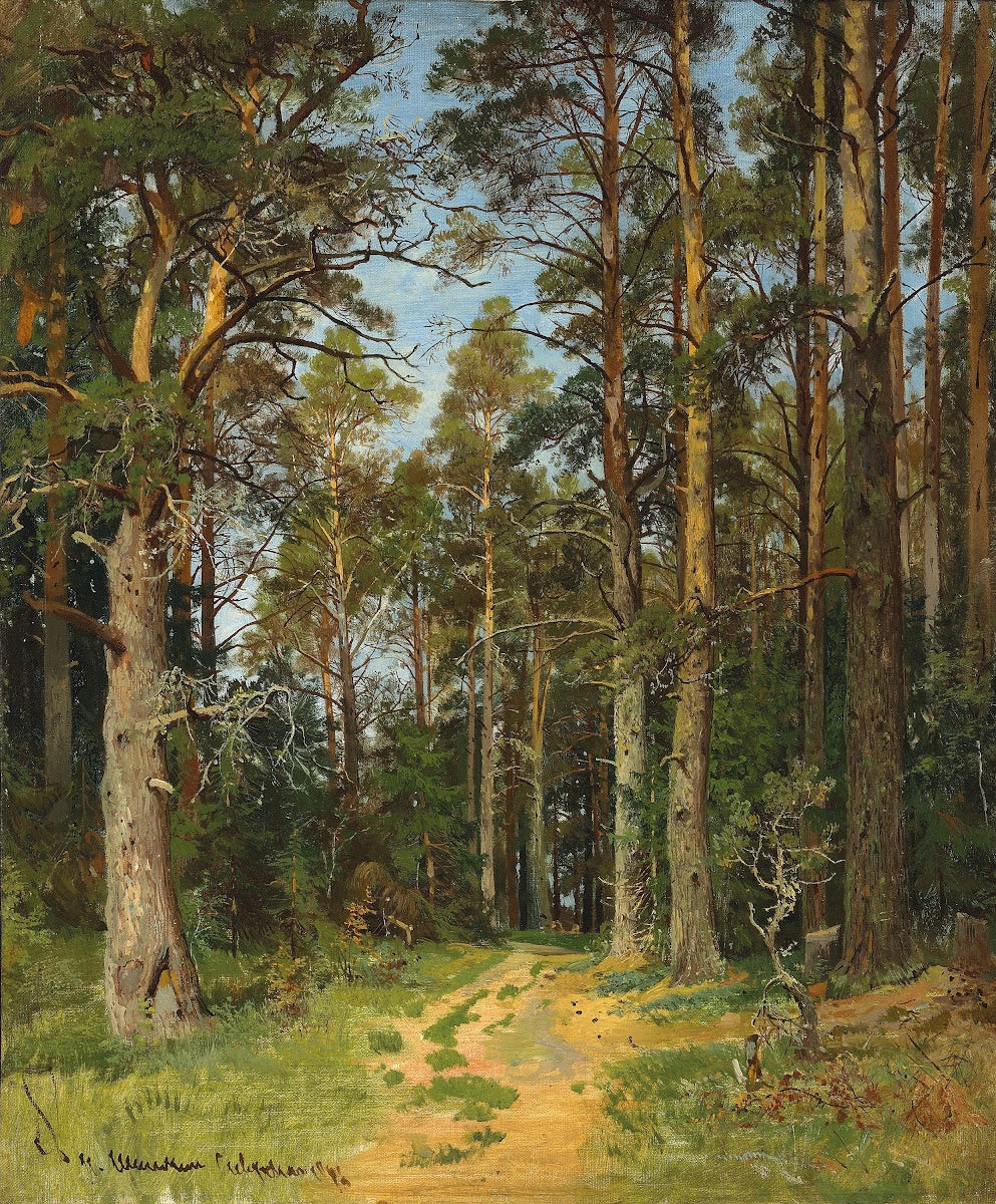 Siverskaya 1896