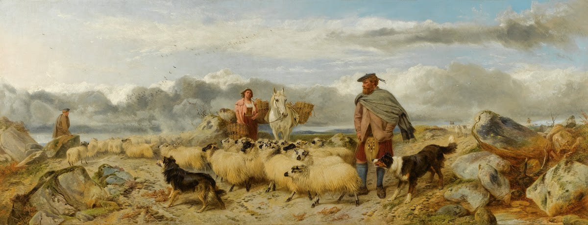 Gathering The Flock 1870