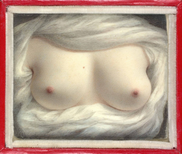 Beauty Revealed 1828