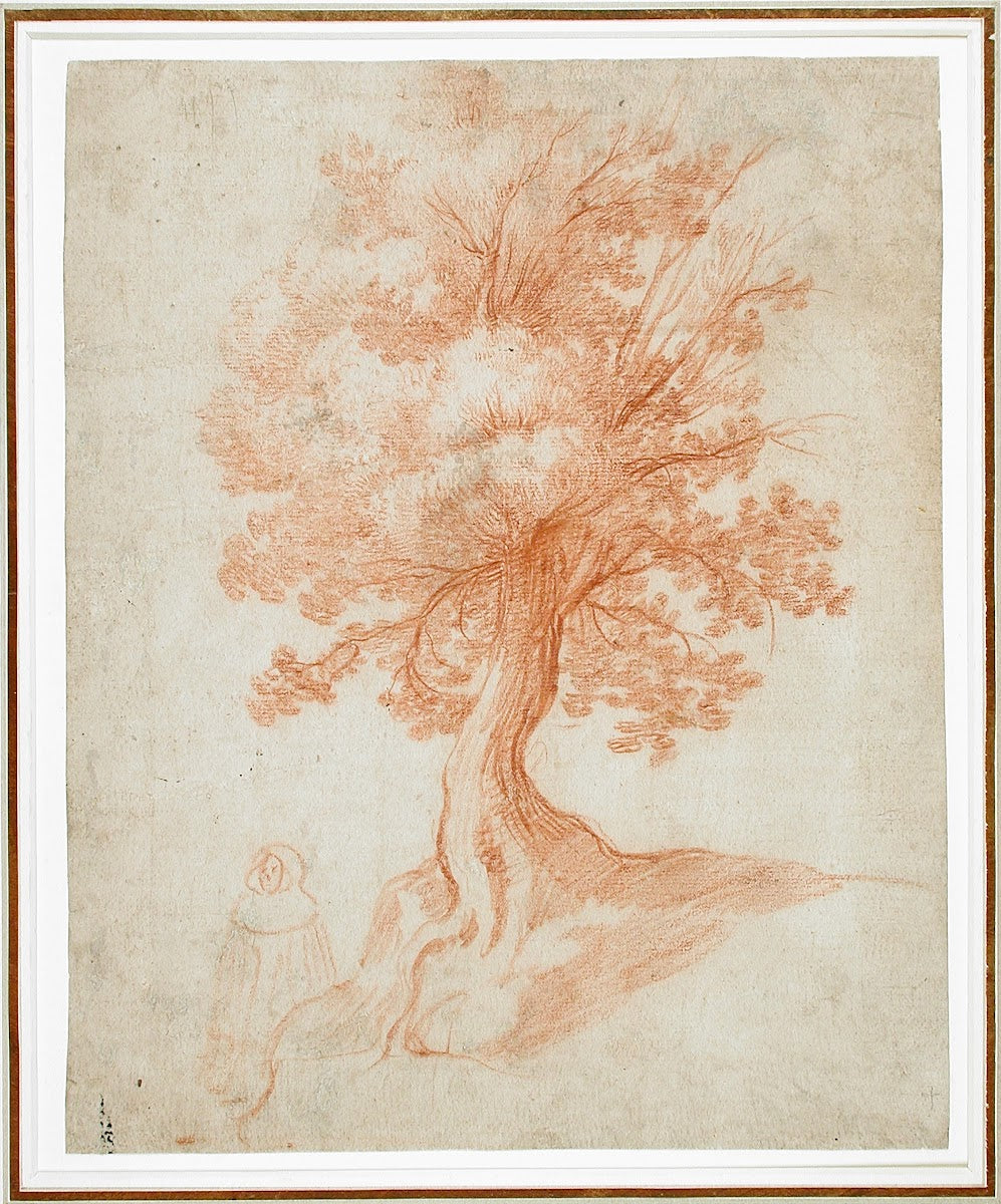 Study of a Tree circa 1610 1620