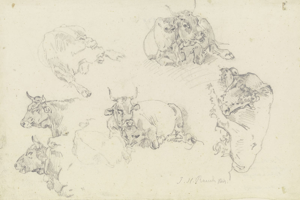 Six cattle 1844
