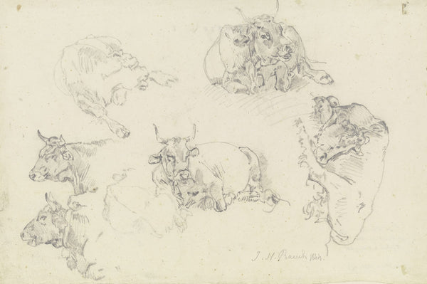 Six cattle 1844
