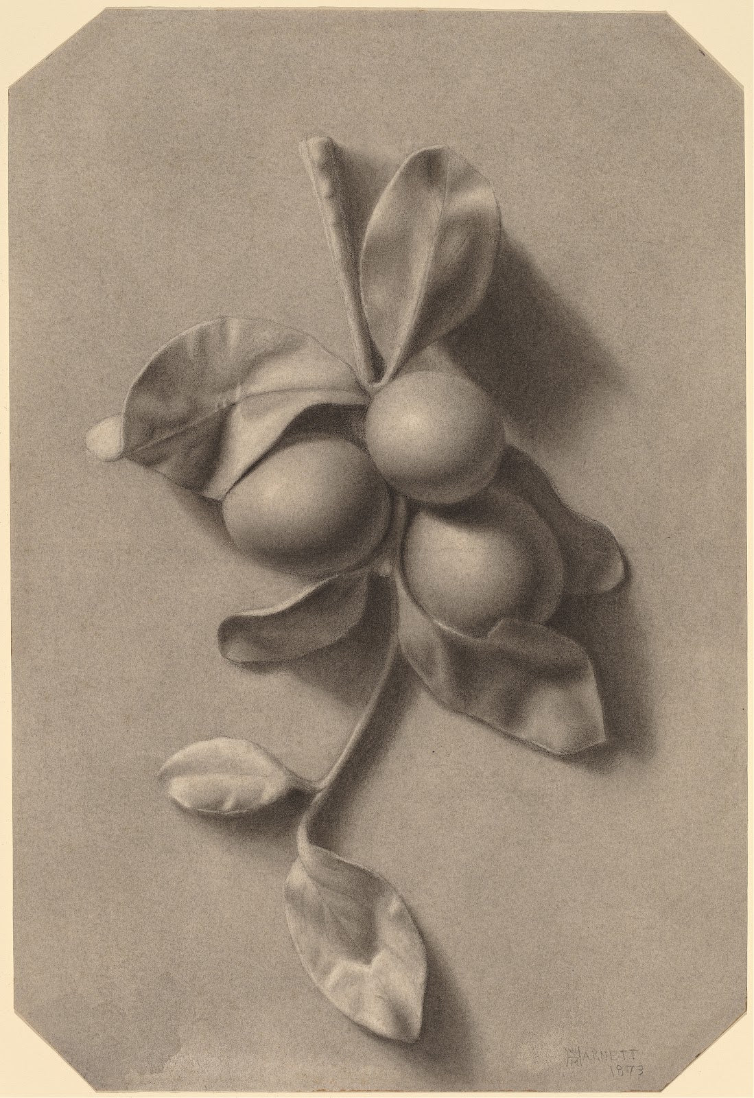 A Sprig of Plums 1873