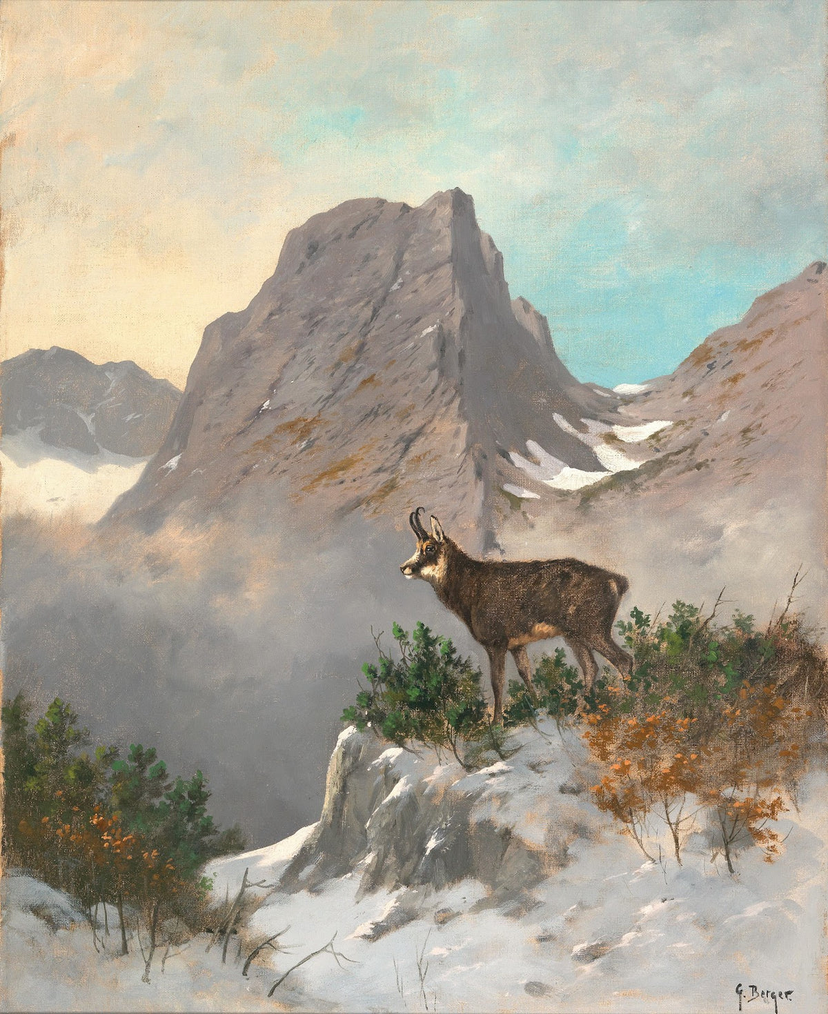 A Chamois High in the Mountains