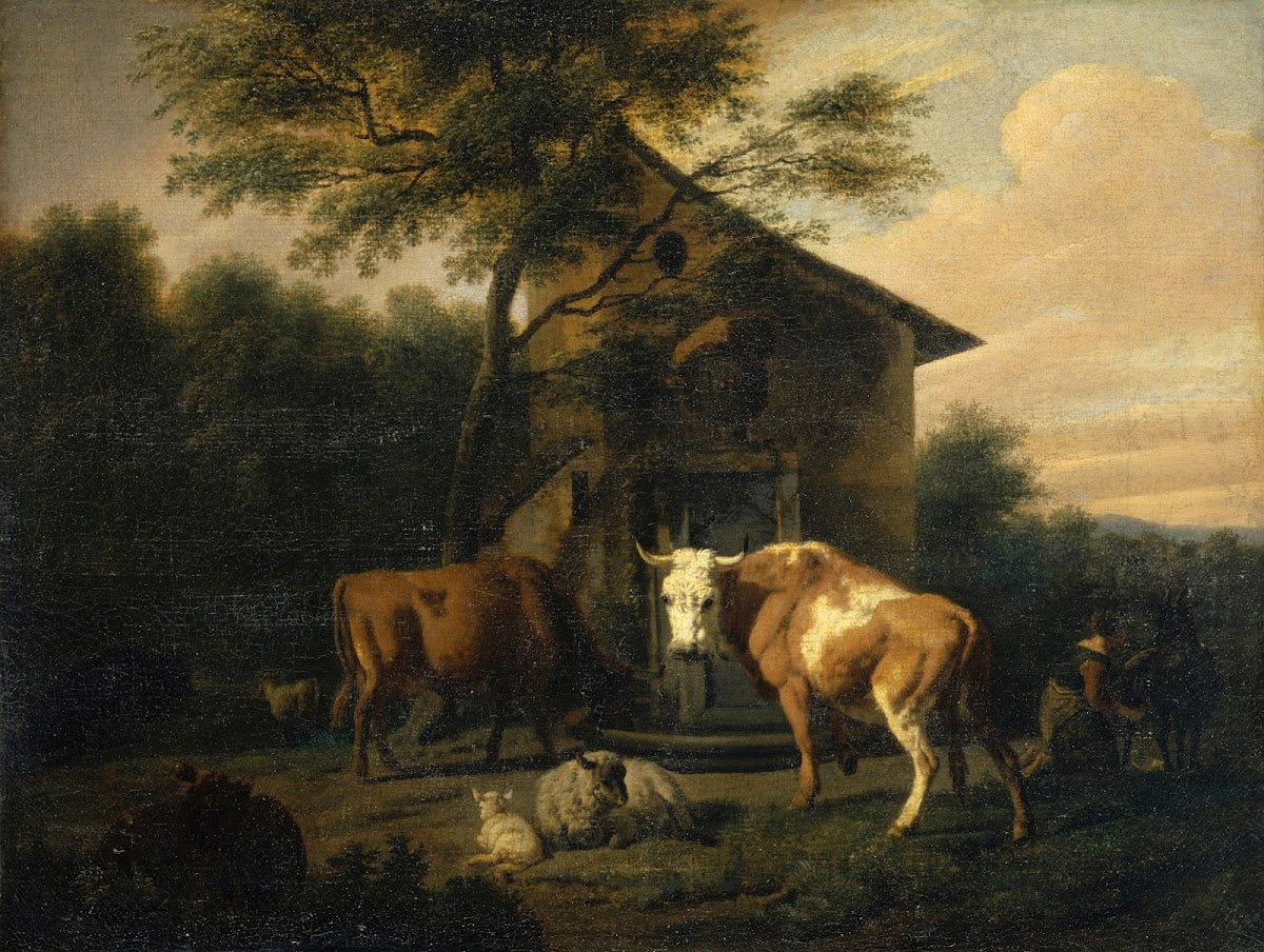 Grazing Cattle