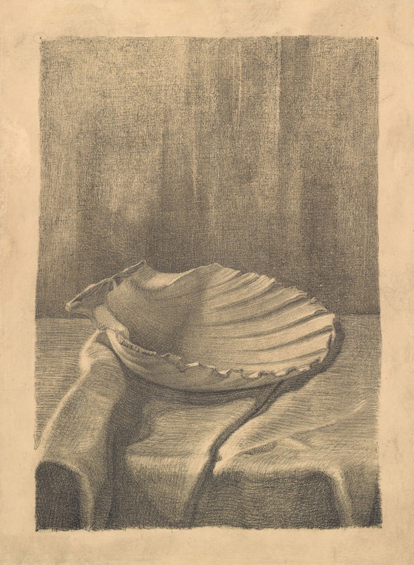 Shell on a table 20th century