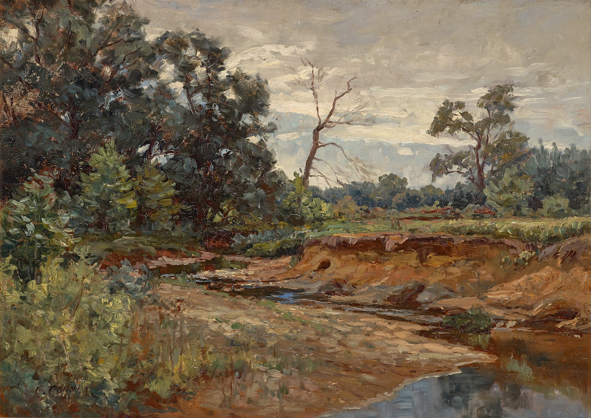 Indiana Woodland In the Meadow