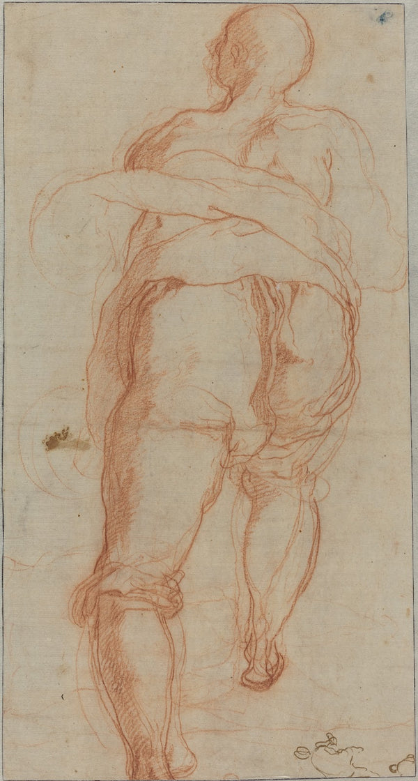 A Man Seen from Behind verso c 1555