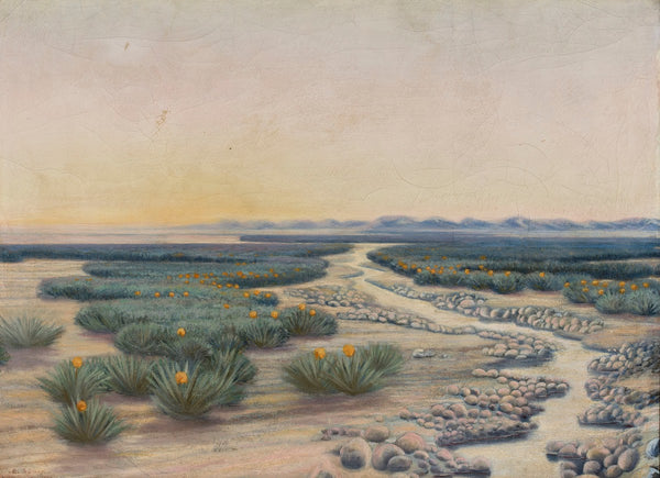 Springtime in the Sahara Desert 1891