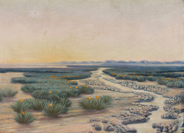 Springtime in the Sahara Desert 1891