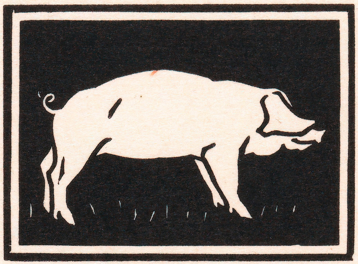 Varken 1923