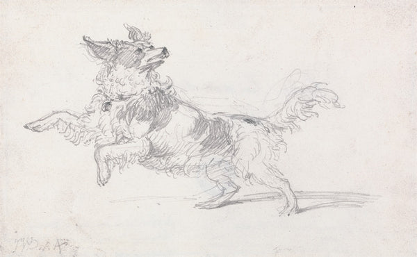 Lady Londonderrys Dog