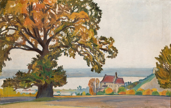 Dąb w Kazimierzu nad Wisłą 1924
