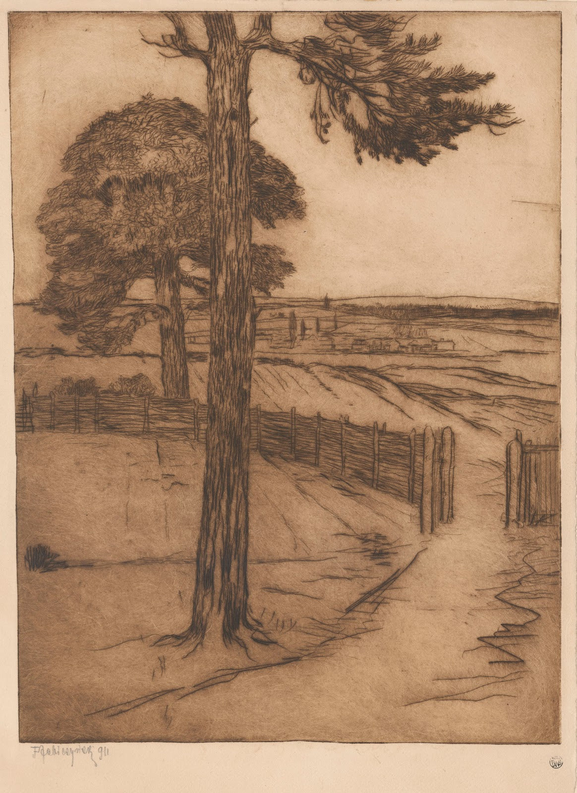 Pines against the background of rural landscape 1911