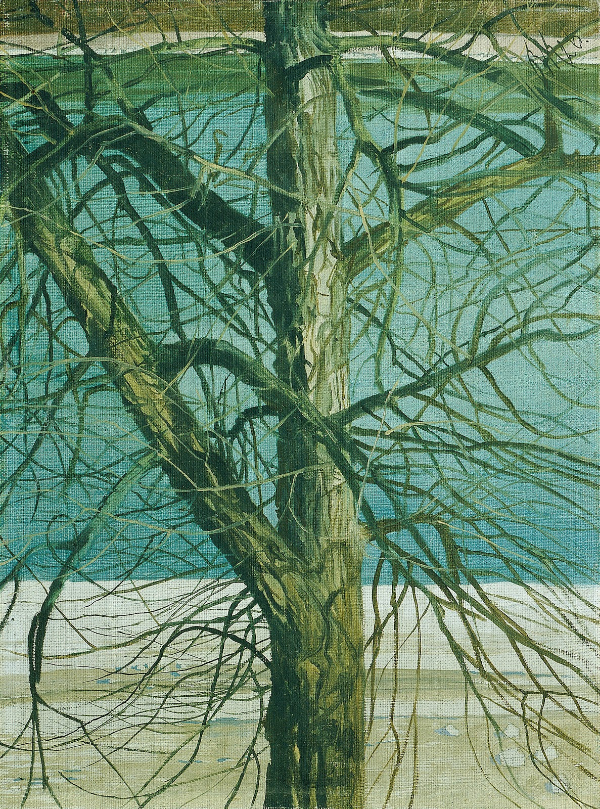 Baumstudie an der Donau 1926