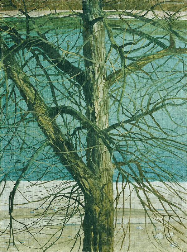 Baumstudie an der Donau 1926