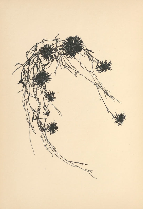Vertrauen Pl33 1933