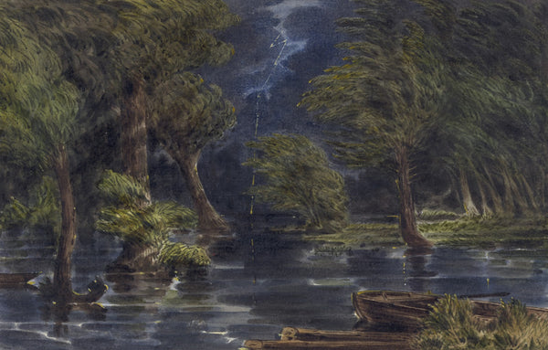 The Chickahominy Swamp 1862