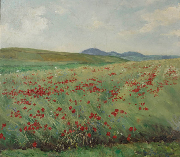 Field of poppies circa 1900