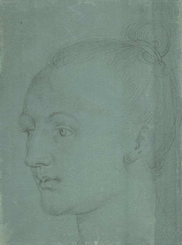 Head of a Young Woman 1522