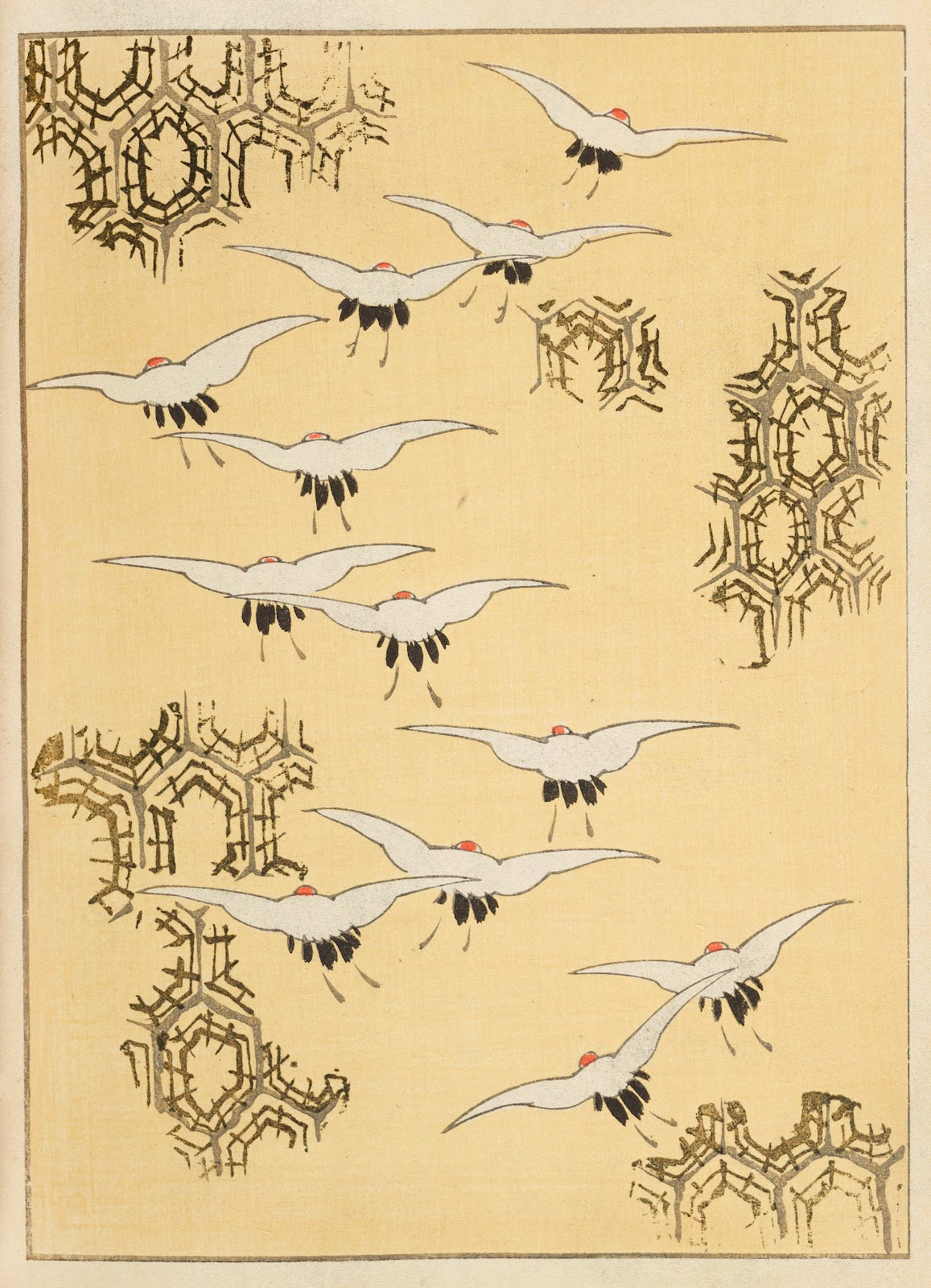 Shin Bijutsukai Pl238 1901 1902