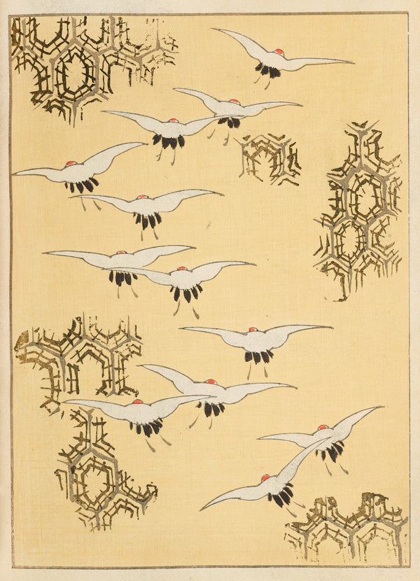 Shin Bijutsukai Pl238 1901 1902