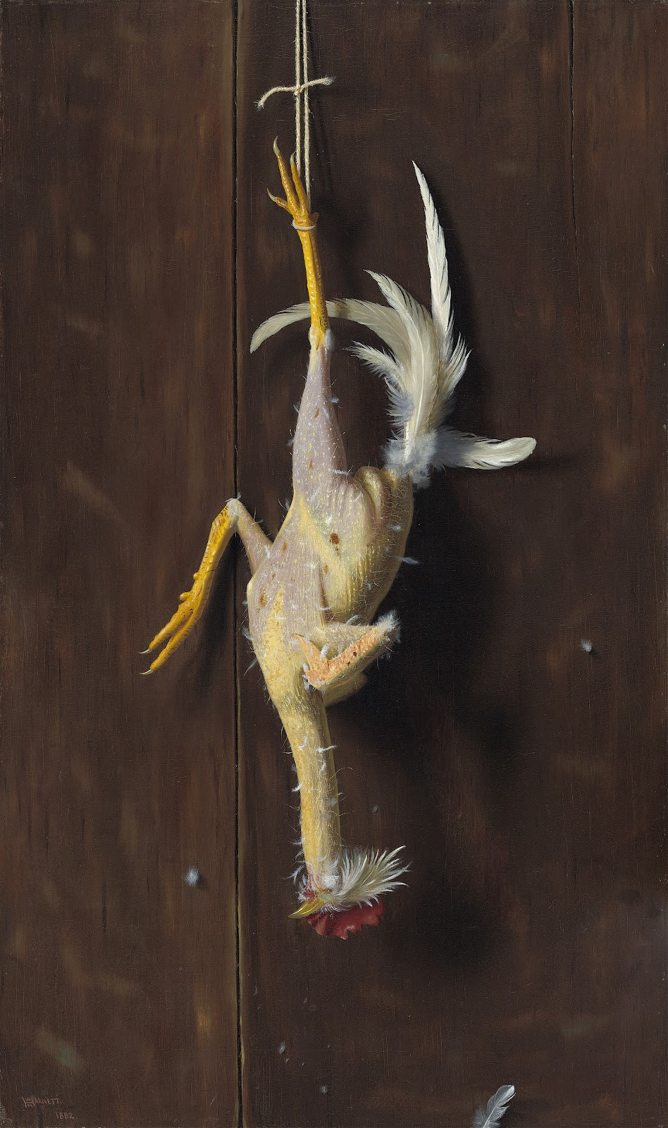 Plucked Clean 1882