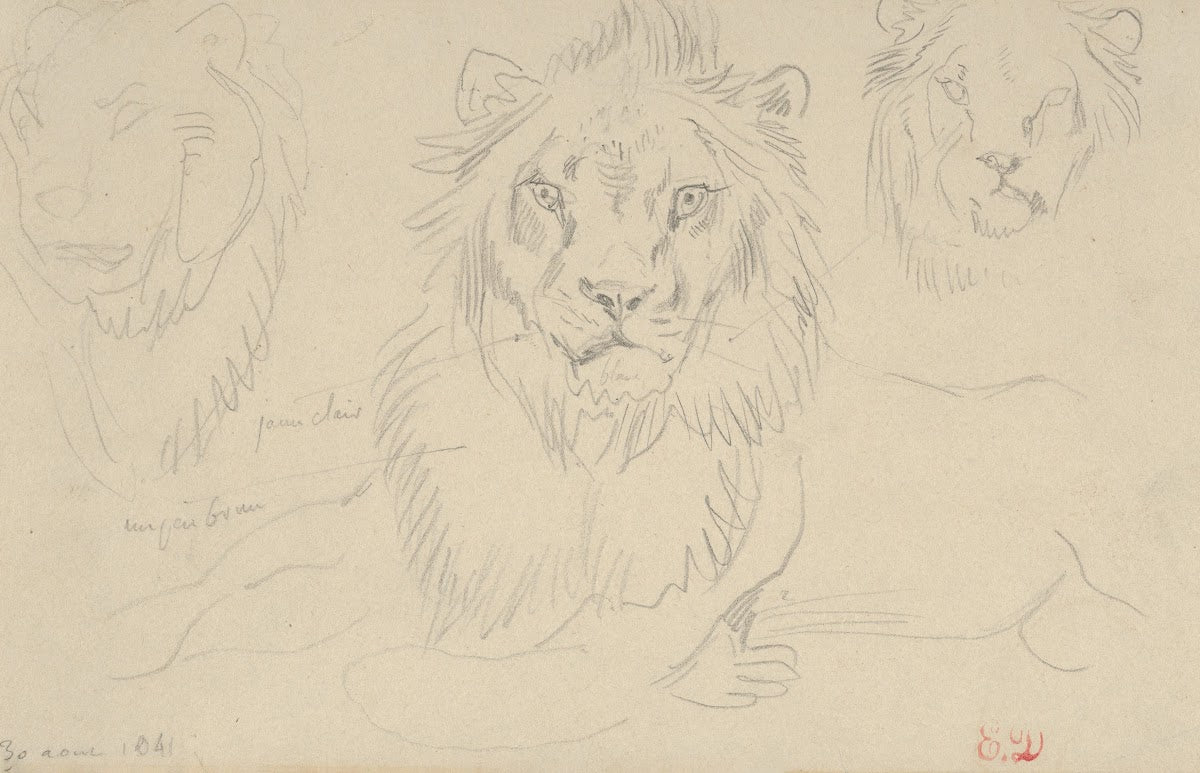 A Lion Full Face 1841
