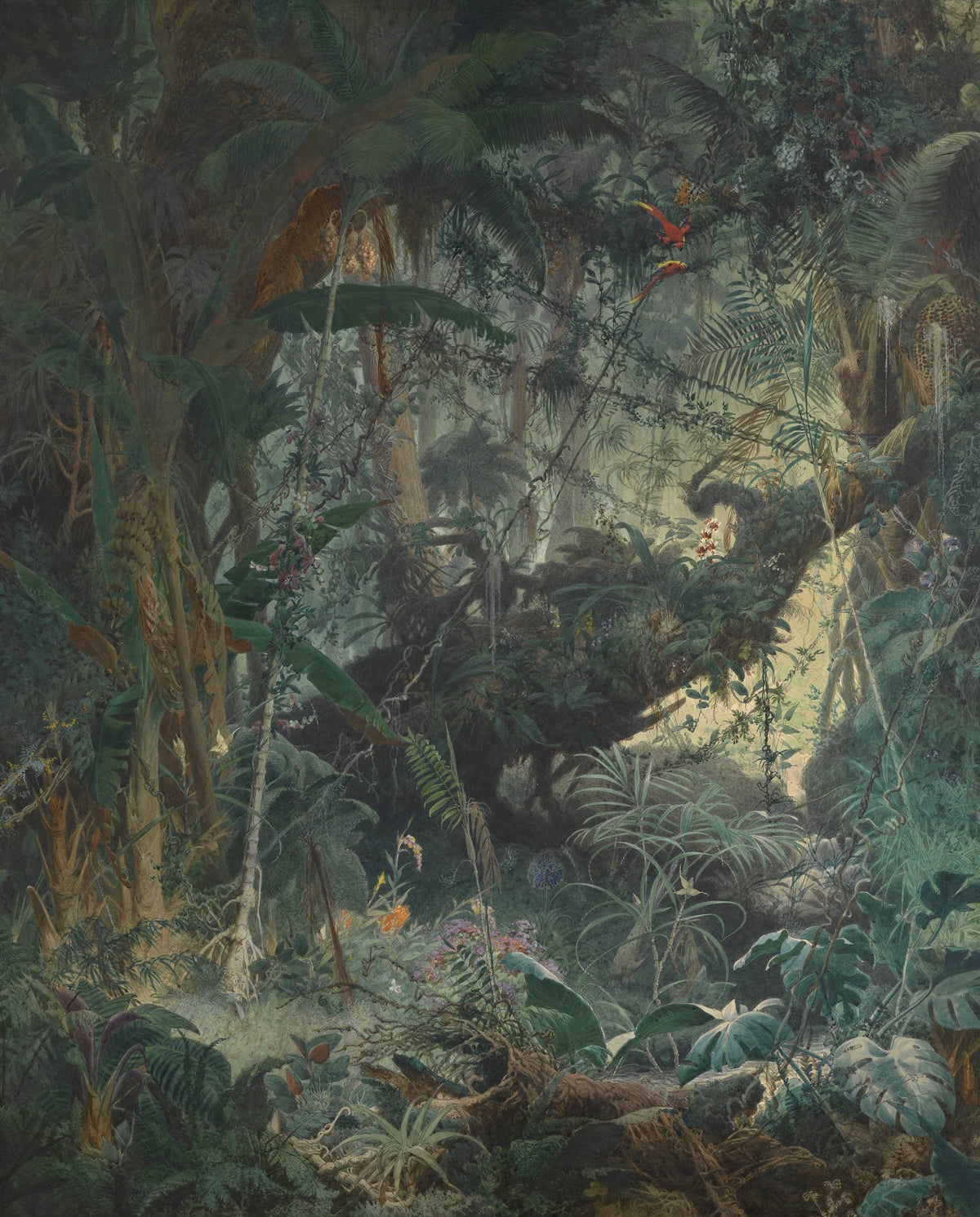 Brasilianischer Urwald 1868