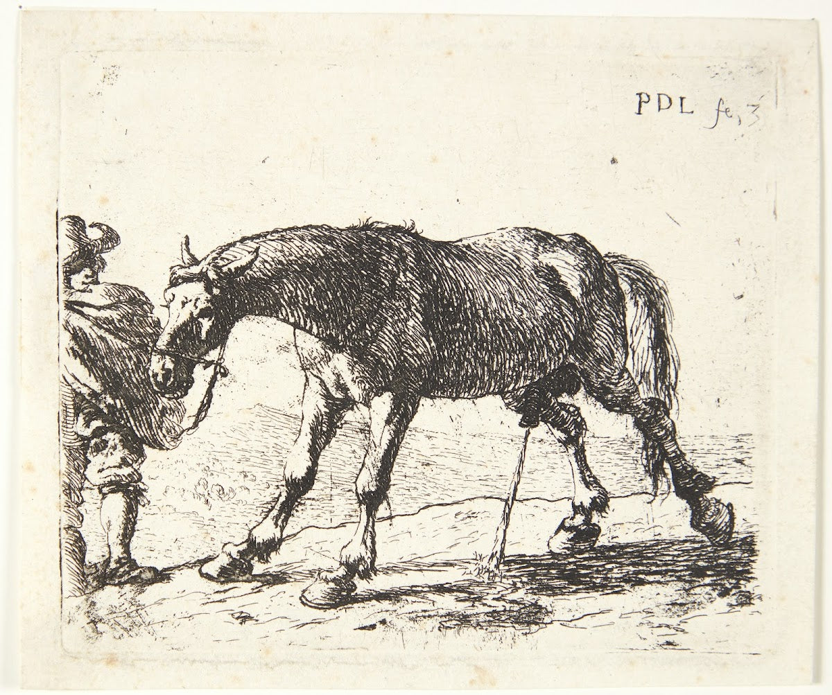 En pissende hest