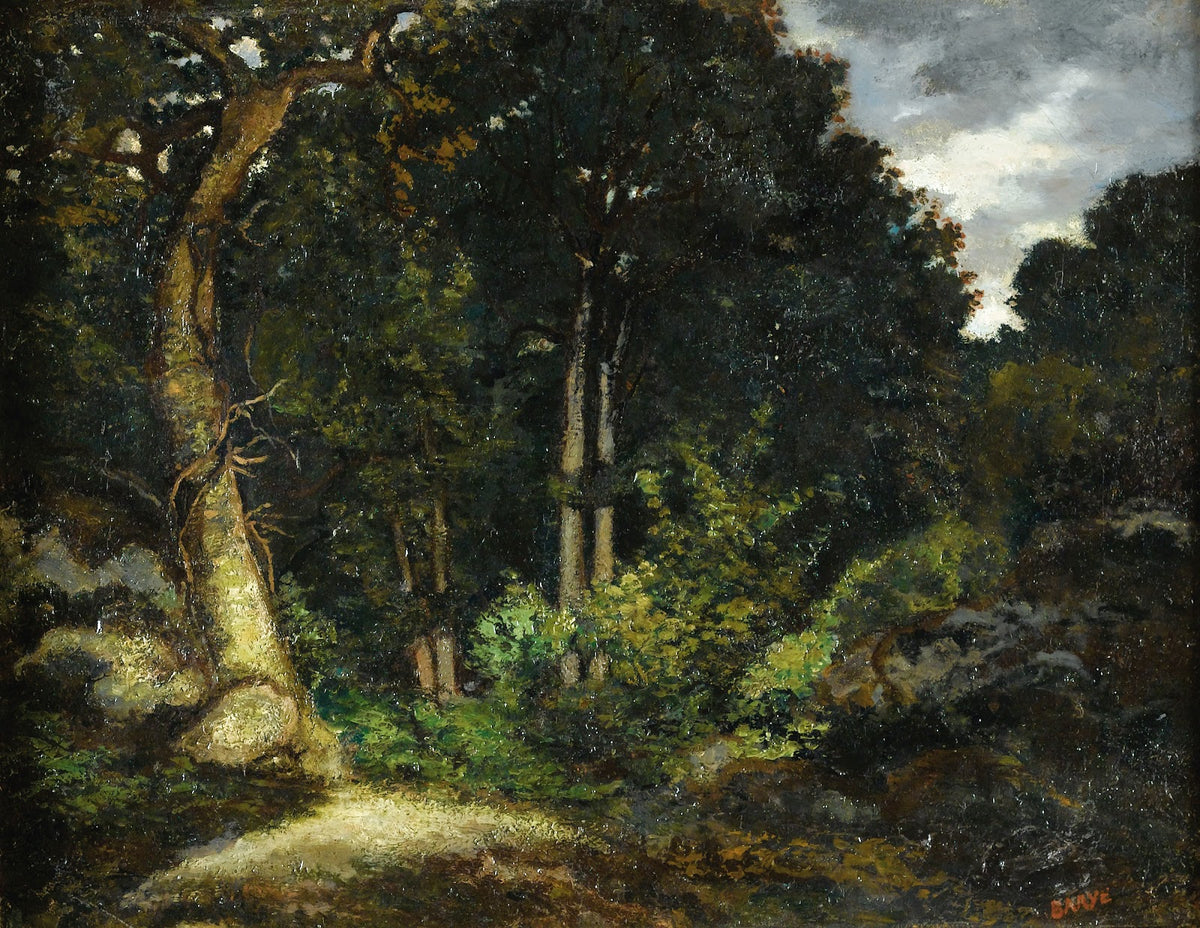 View Of Fontainebleau Forest