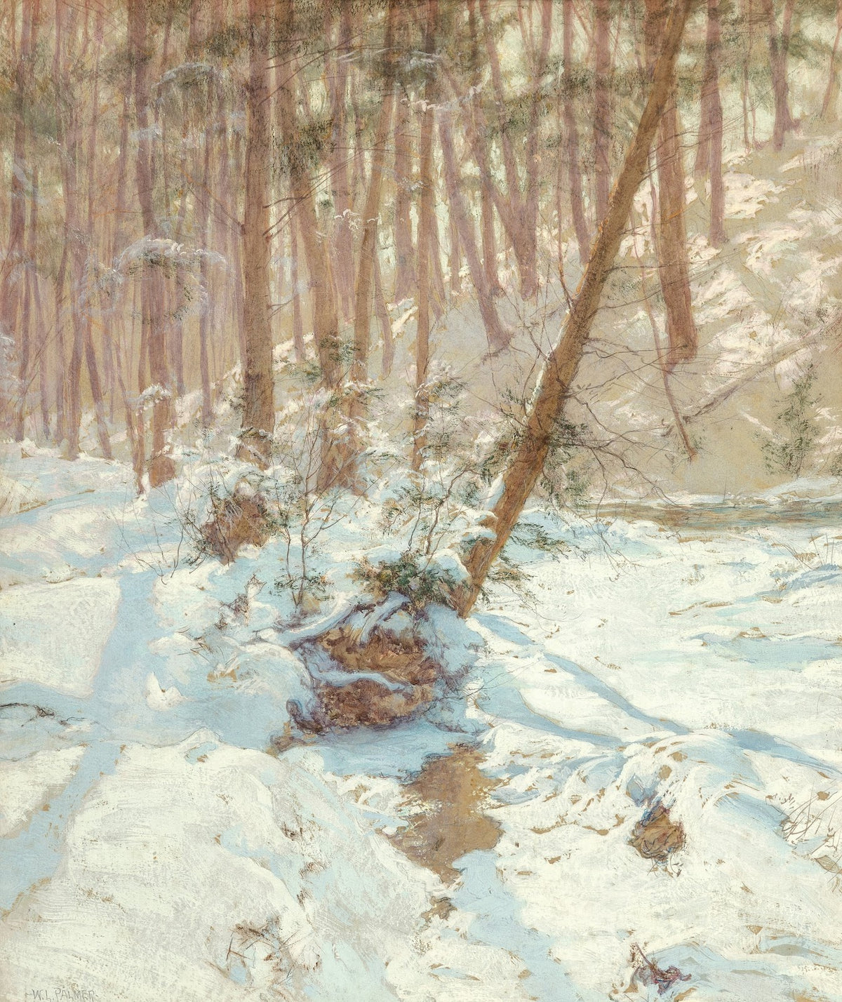 Winter Stream
