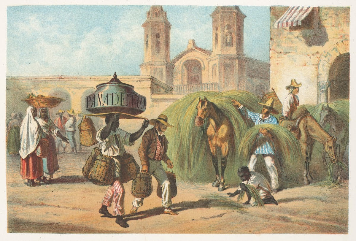 El pandero y el malojero 1855