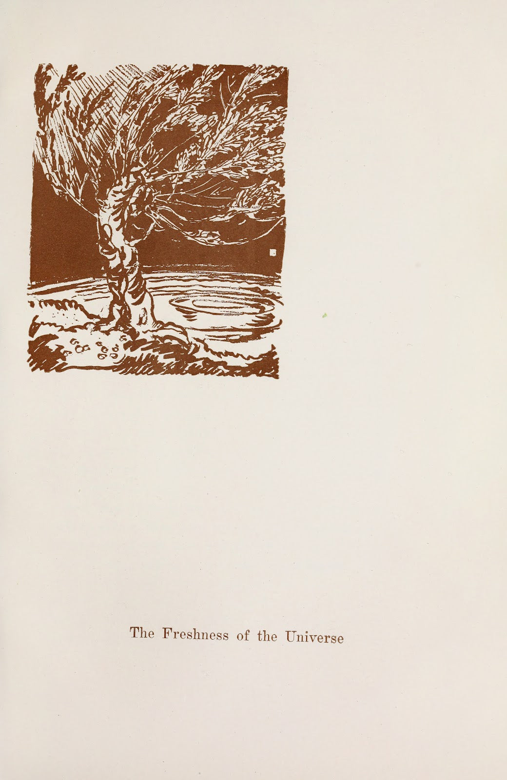 The Freshness of the Universe 1923
