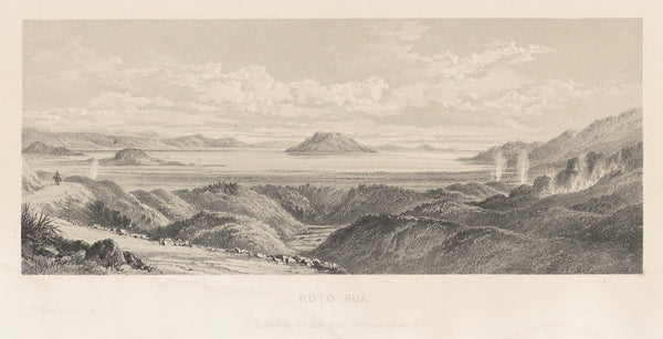 New Zealand Graphic and Descriptive Plate III Roto rua 1877