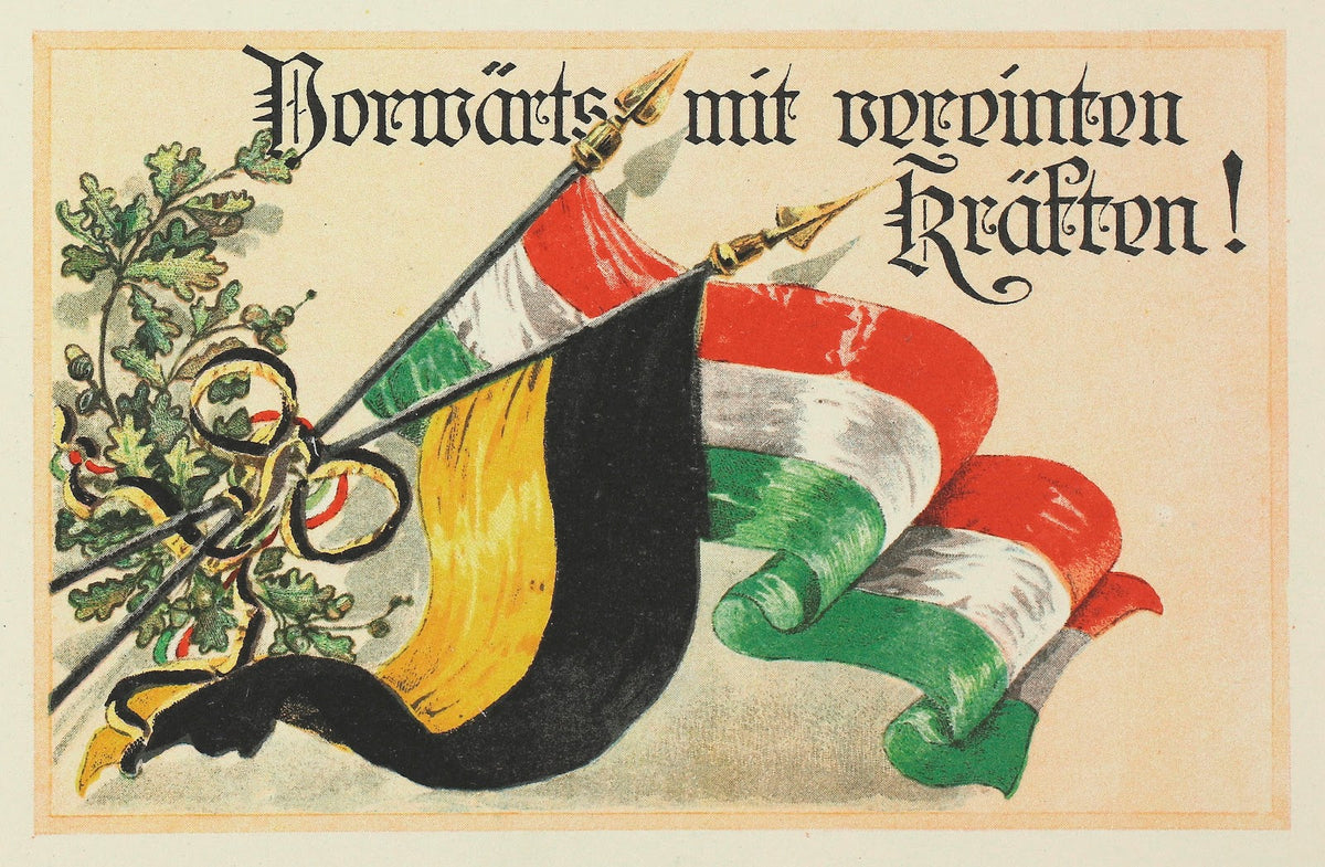 Vorwärts mit vereinten Kräften 19141915