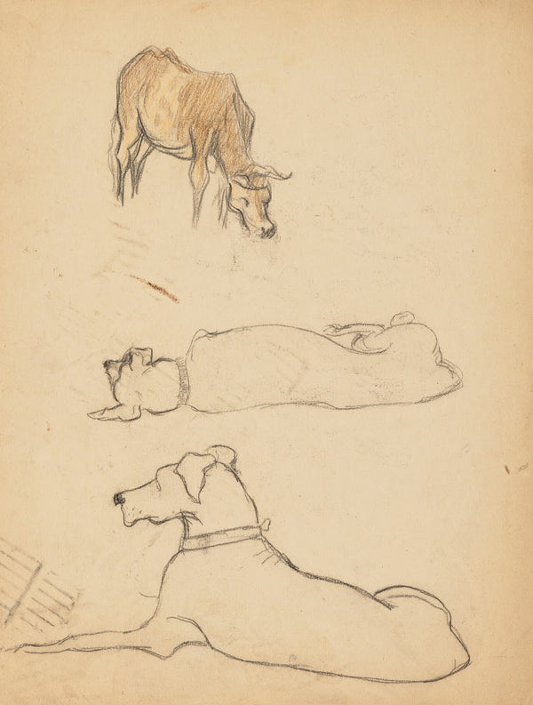 Études danimaux de paysages et de modèles