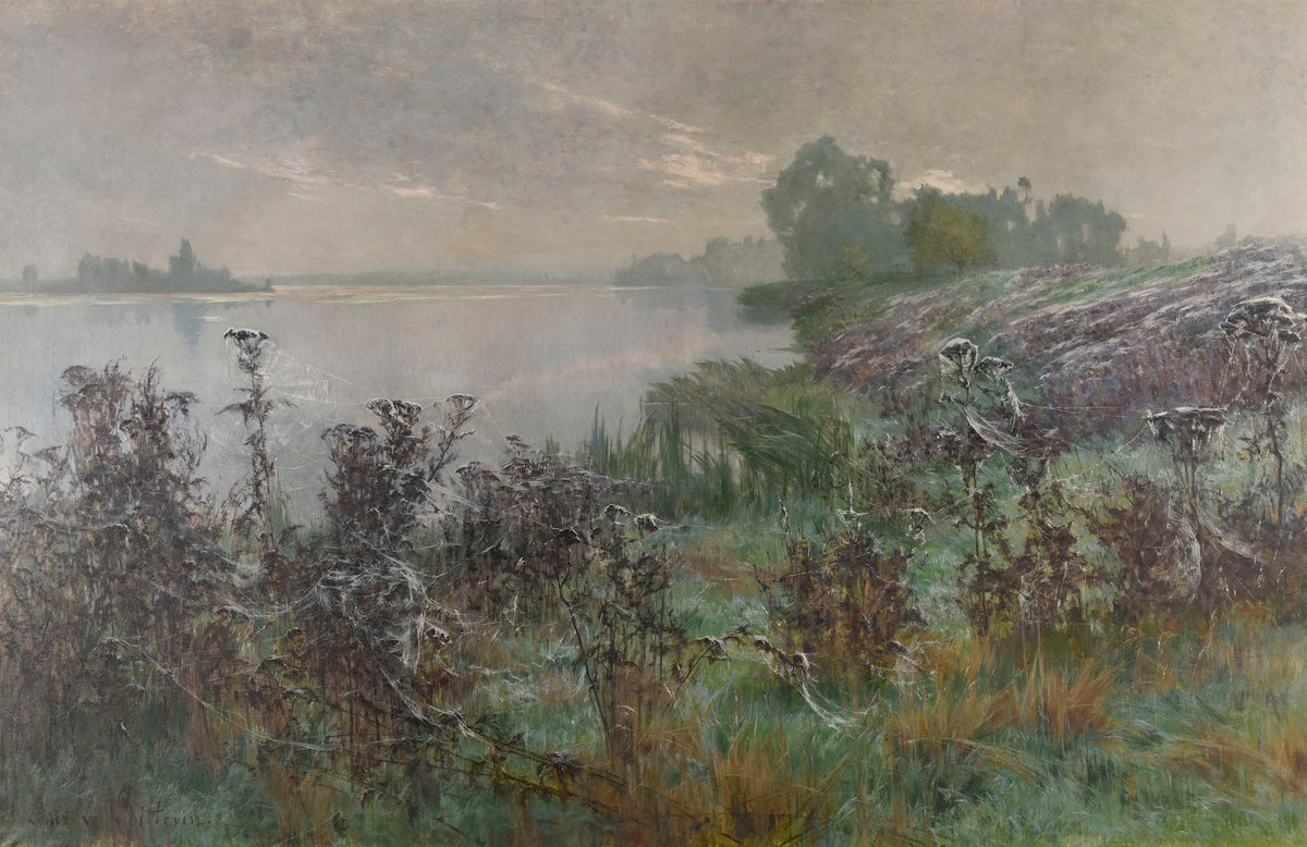 Les toiles daraignées