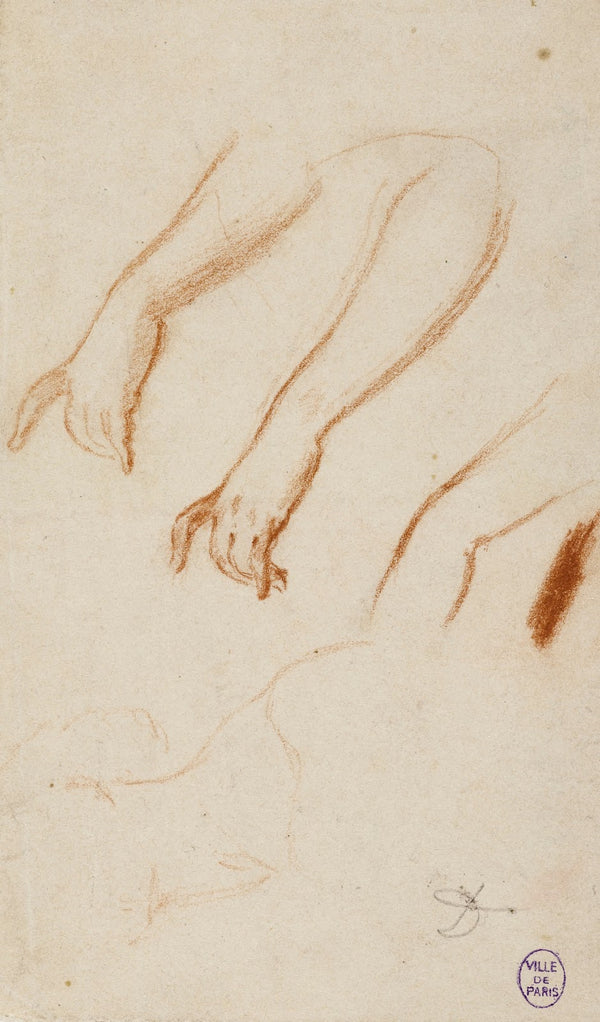 Esquisses davant bras et dun cou