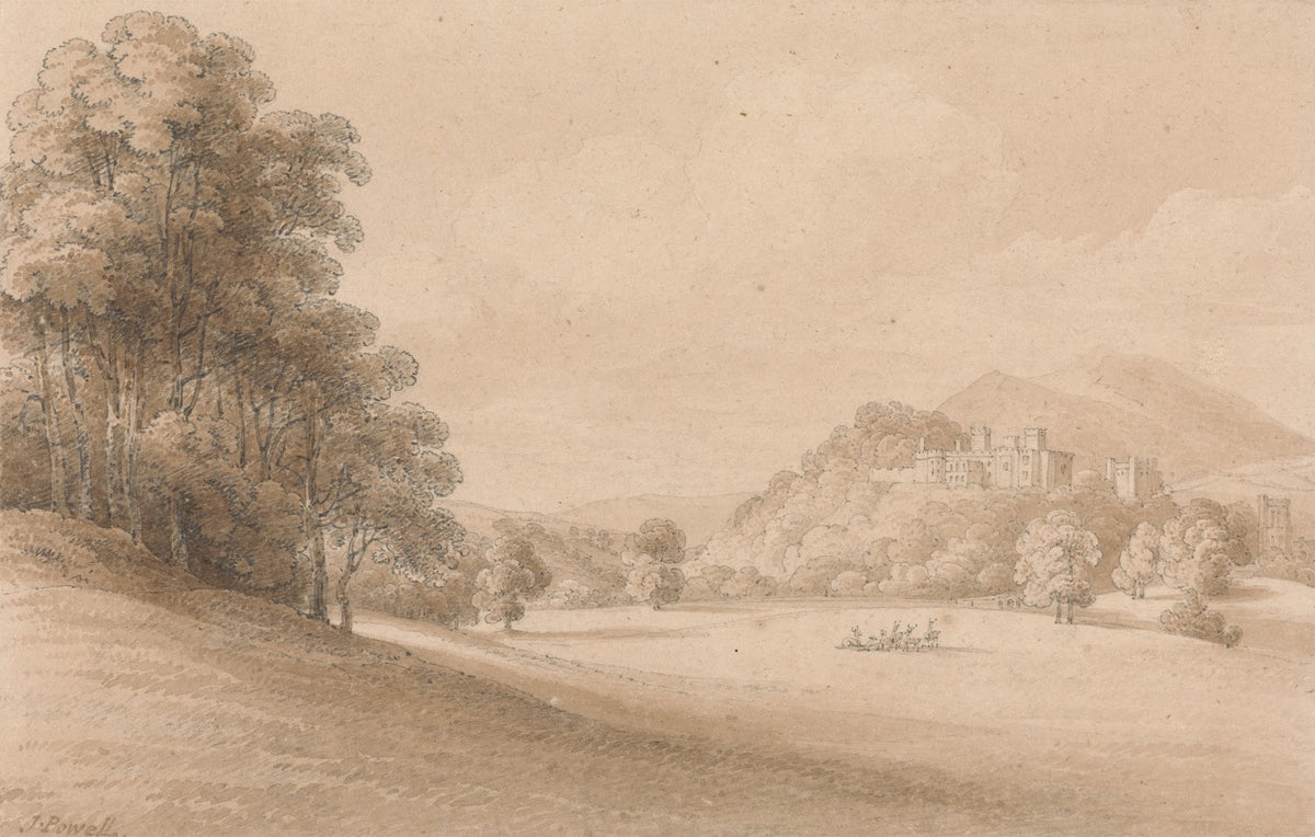 Dunster Castle Somerset Showing Castle in Distance