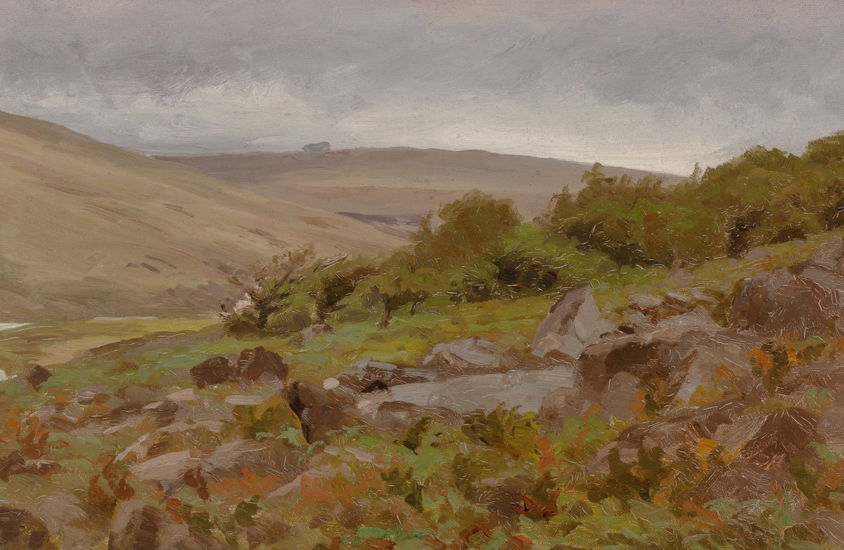 Landscape possibly Wales